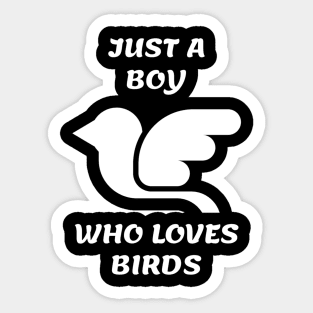 Just A Boy Who Loves Birds Sticker